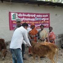 gallery-photo-10